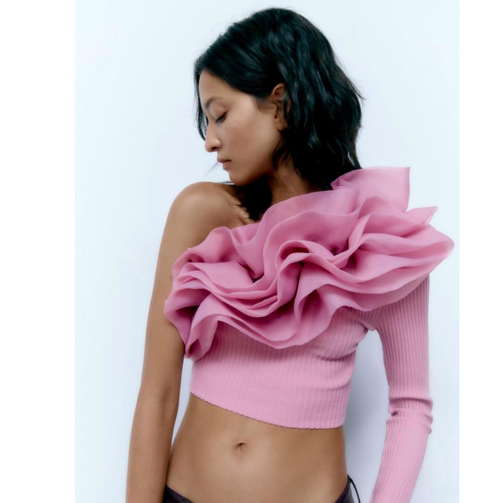 Zara crop organza top